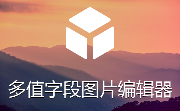 多值字段可上传图片加编辑器插件